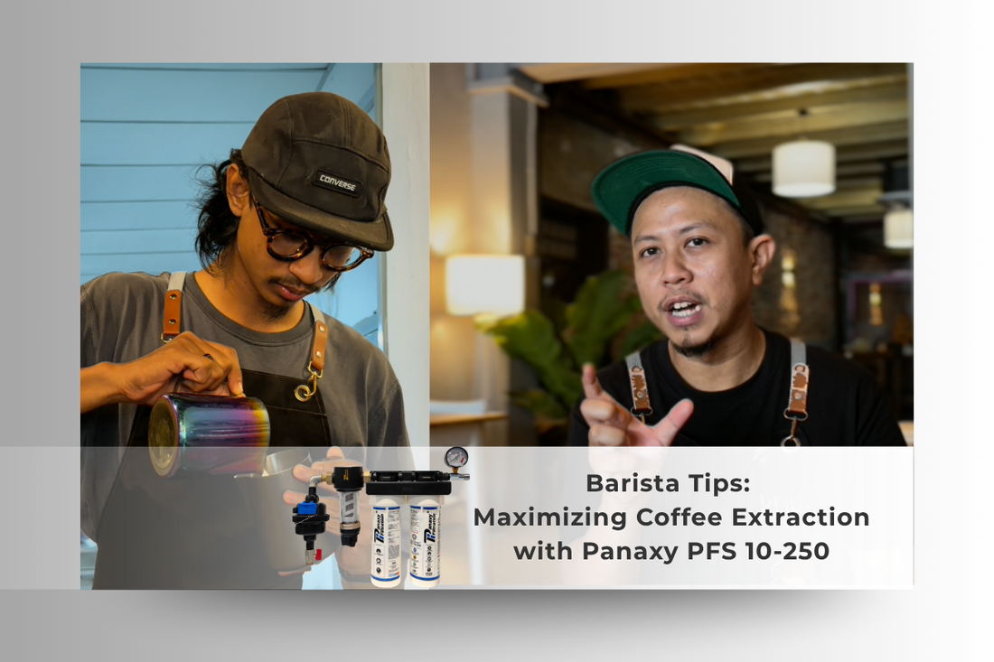 Barista Tips: Maximizing Coffee Extraction with Panaxy PFS 10-250