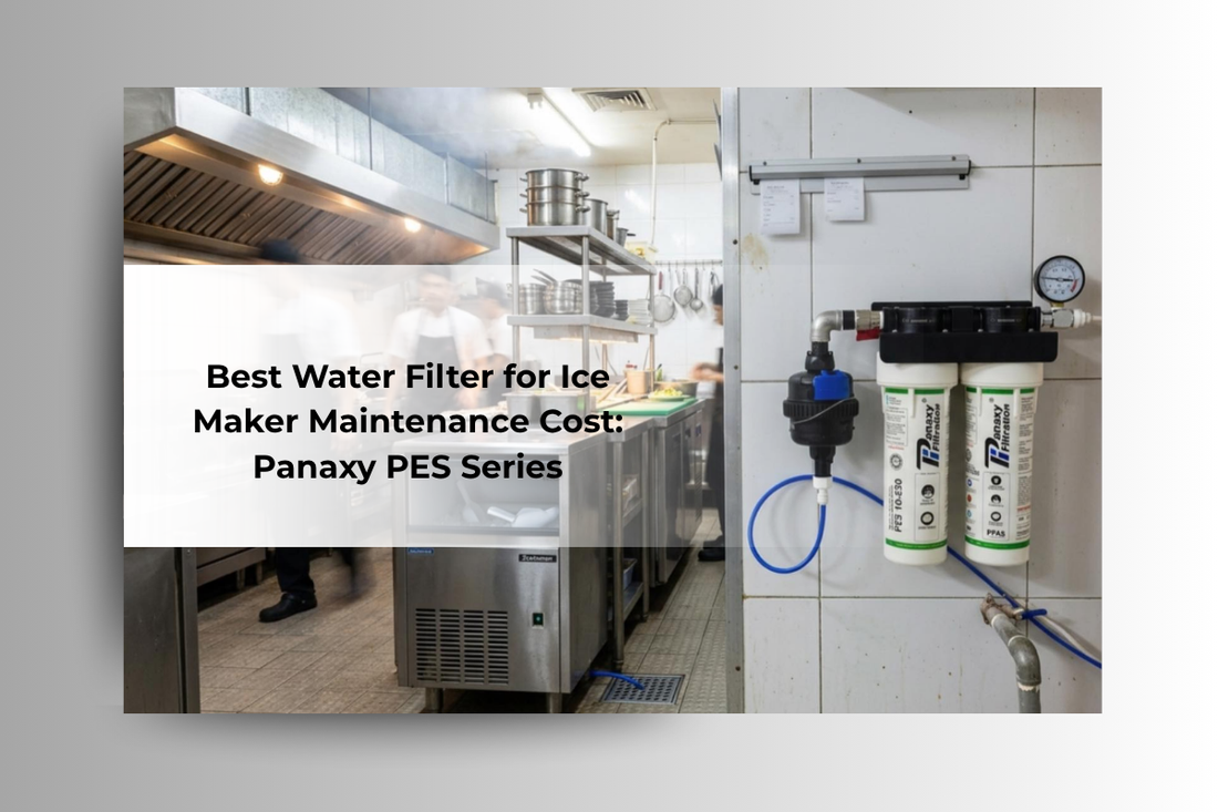 Best Water Filter for Ice Maker Maintenance Cost: Panaxy PES Series
