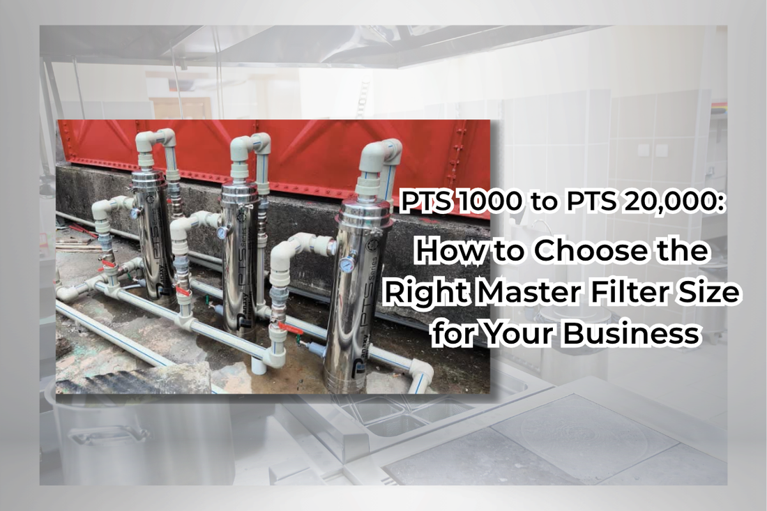 PTS 1000 to PTS 20,000: How to Choose the Right Master Filter Size for Your Business