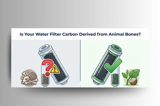 Is Your Filter Carbon Made from Bone Char? | Panaxy Halal Integrity
