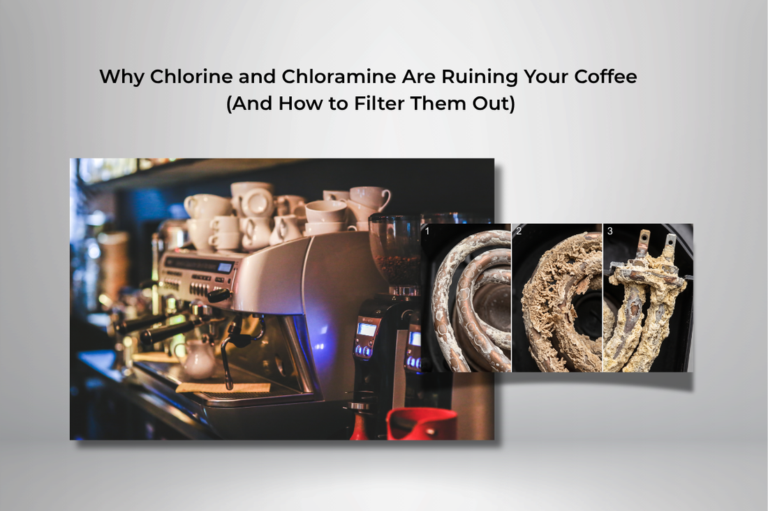 Why Chlorine and Chloramine Are Ruining Your Coffee (And How to Filter Them Out)